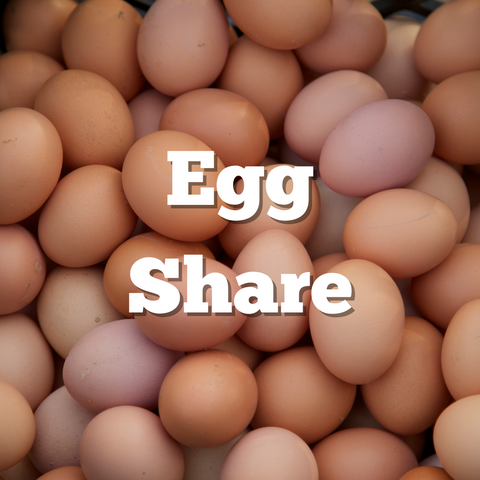 2024 Egg Share (23 weeks)