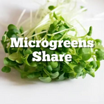 2025 Microgreens June-Nov (BI-WEEKLY)