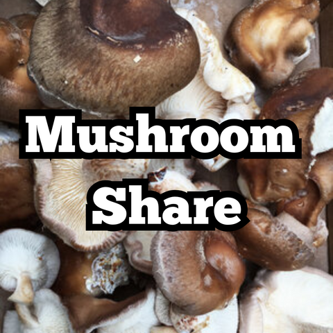 2025 Mushroom HALF SHARE (18 weeks)