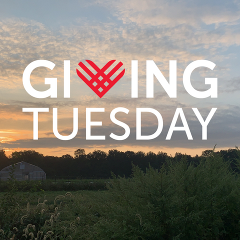 Giving Tuesday: Donate to Poughkeepsie Farm Project