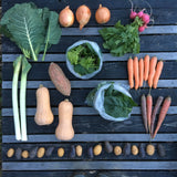 CSA: Whole Share, Fall Season (10 weeks)
