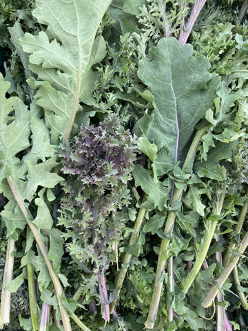 Kale (8 lbs)