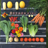 CSA: Whole Share, Fall Season (10 weeks)